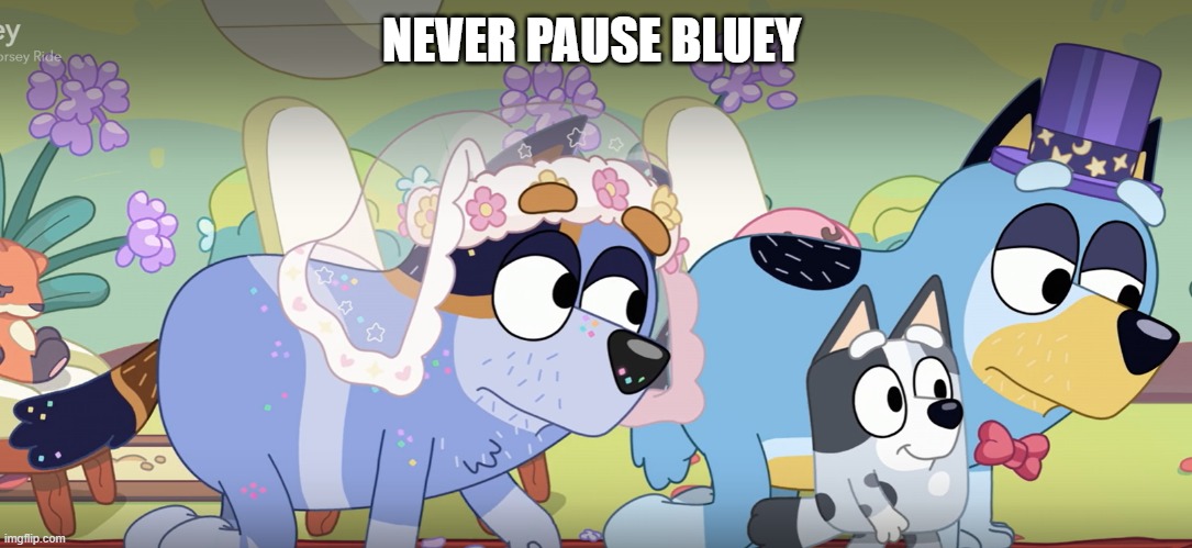 blewy meme | NEVER PAUSE BLUEY | image tagged in bluey | made w/ Imgflip meme maker