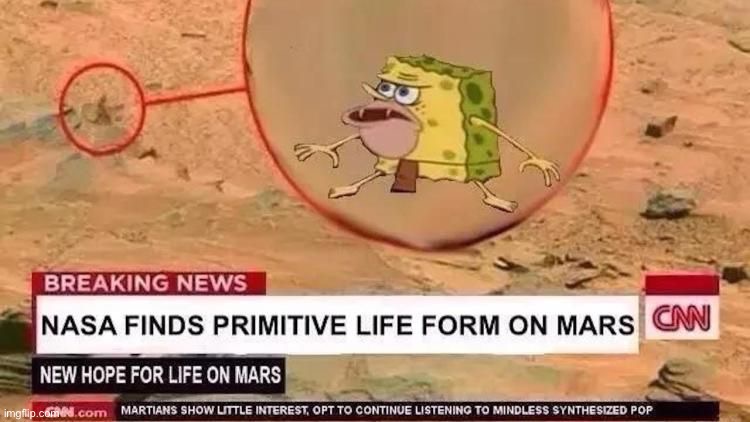 image tagged in spongegar | made w/ Imgflip meme maker