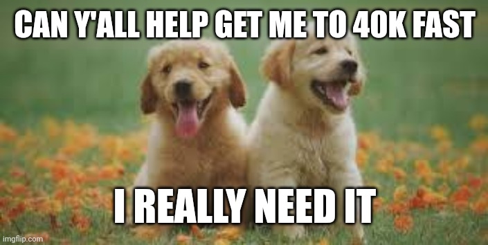 doggy | CAN Y'ALL HELP GET ME TO 40K FAST; I REALLY NEED IT | image tagged in doggy | made w/ Imgflip meme maker