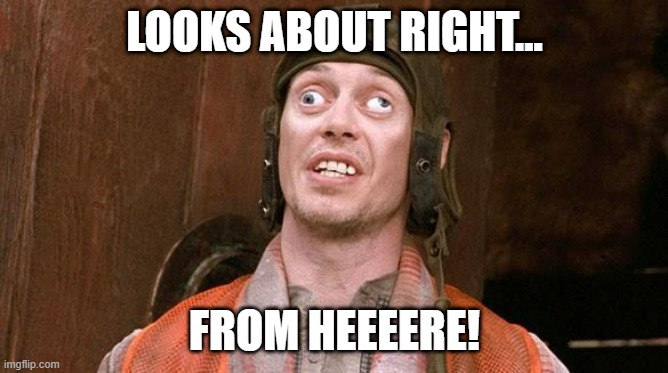Steve Buscemi | LOOKS ABOUT RIGHT... FROM HEEEERE! | image tagged in steve buscemi | made w/ Imgflip meme maker