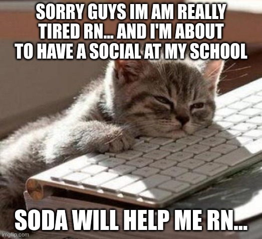 me right now | SORRY GUYS IM AM REALLY TIRED RN... AND I'M ABOUT TO HAVE A SOCIAL AT MY SCHOOL; SODA WILL HELP ME RN... | image tagged in tired cat | made w/ Imgflip meme maker