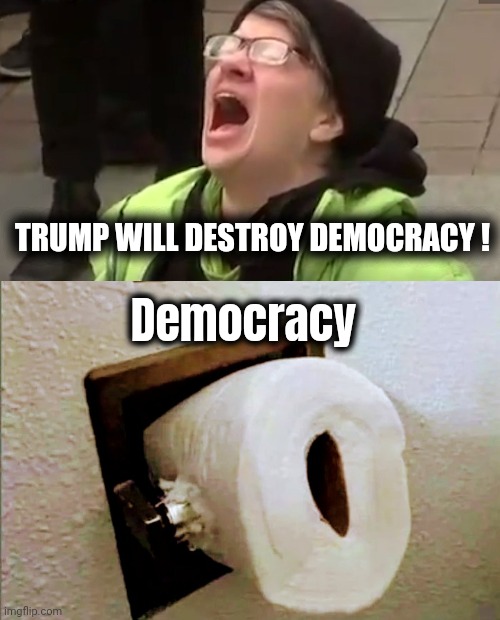 Someone hit "Reset" , please | TRUMP WILL DESTROY DEMOCRACY ! Democracy | image tagged in screaming liberal,alright gentlemen we need a new idea,liberal logic,discovering something that doesn t exist | made w/ Imgflip meme maker