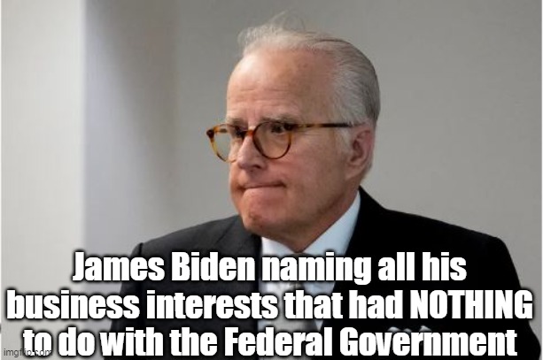 Only thing he ever did was perfect Senate Mafia Pay to Play | James Biden naming all his business interests that had NOTHING to do with the Federal Government | image tagged in james biden speechless meme | made w/ Imgflip meme maker