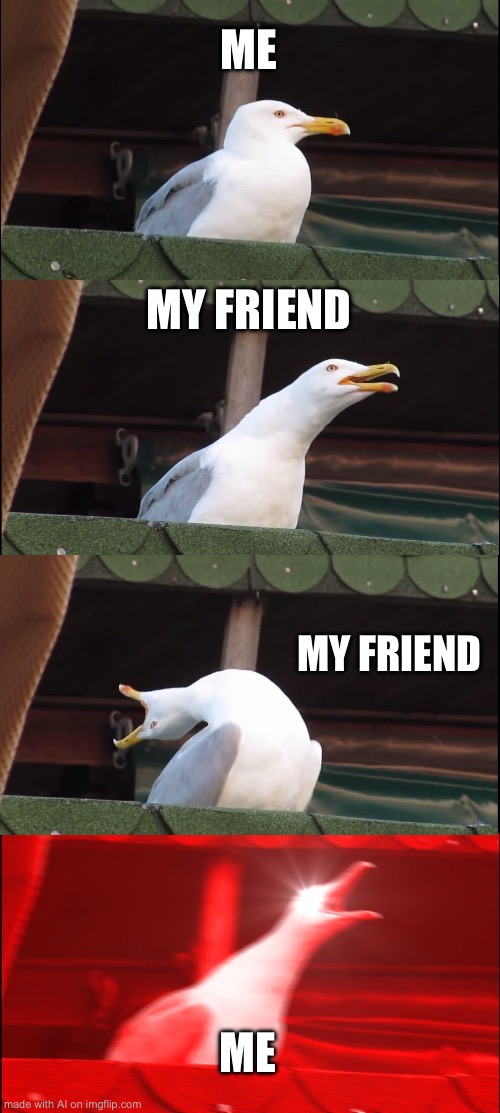 Inhaling Seagull | ME; MY FRIEND; MY FRIEND; ME | image tagged in memes,inhaling seagull | made w/ Imgflip meme maker