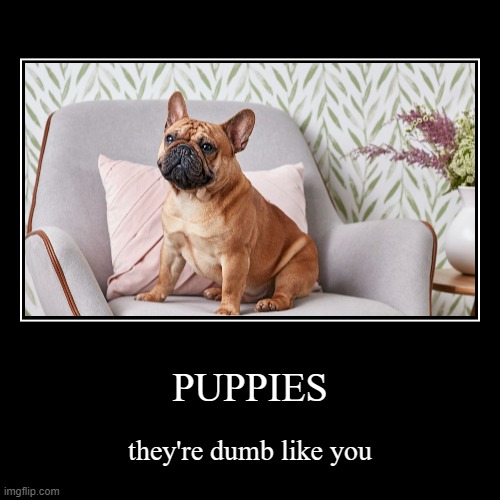 PUPPIES | they're dumb like you | image tagged in funny,demotivationals | made w/ Imgflip demotivational maker