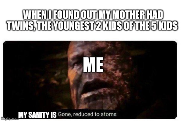 Ah yes, the twins that hate each other. | WHEN I FOUND OUT MY MOTHER HAD TWINS, THE YOUNGEST 2 KIDS OF THE 5 KIDS; ME; MY SANITY IS | image tagged in gone reduced to atoms,family issues | made w/ Imgflip meme maker