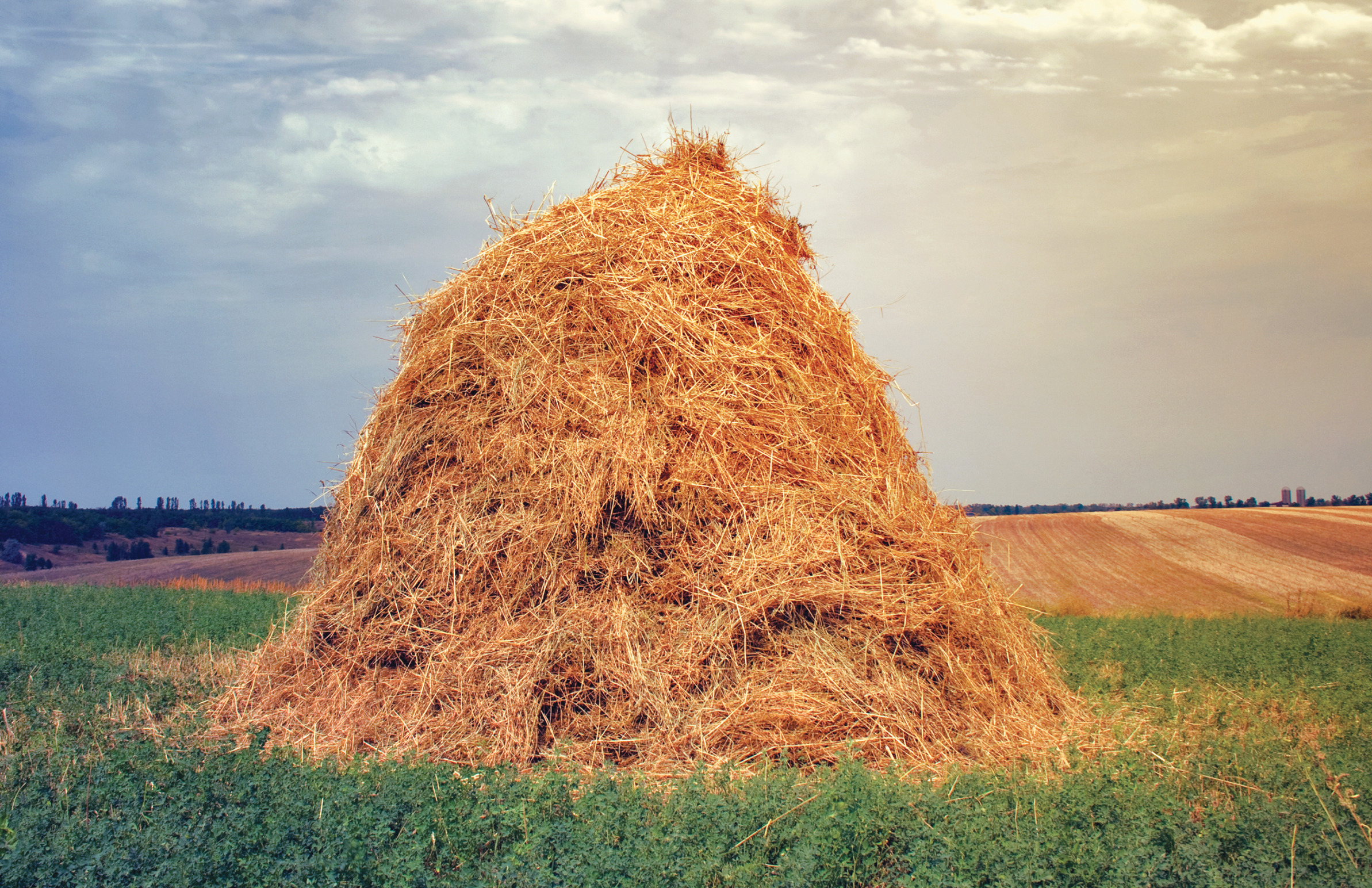 High Quality Haystack Blank Meme Template