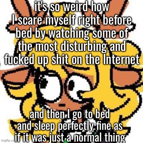 wacky tbh | it's so weird how I scare myself right before bed by watching some of the most disturbing and fucked up shit on the Internet; and then I go to bed and sleep perfectly fine as if it was just a normal thing | image tagged in uh | made w/ Imgflip meme maker