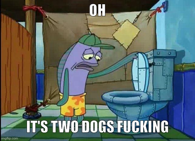 first thing i see when opening the app again | OH; IT'S TWO DOGS FUCKING | image tagged in spongebob oh that's real nice | made w/ Imgflip meme maker