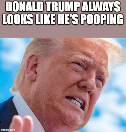 Donald Trump Always Looks Like He's Pooping | DONALD TRUMP ALWAYS LOOKS LIKE HE'S POOPING | image tagged in donald trump,donald trump memes,pooping,donald trump hair,funny,memes | made w/ Imgflip meme maker