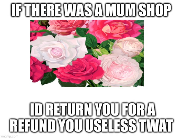 Mothers day | IF THERE WAS A MUM SHOP; ID RETURN YOU FOR A REFUND YOU USELESS TWAT | image tagged in mum | made w/ Imgflip meme maker