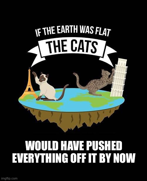 Flat Earth + Cats | WOULD HAVE PUSHED EVERYTHING OFF IT BY NOW | image tagged in flat earth,cats | made w/ Imgflip meme maker