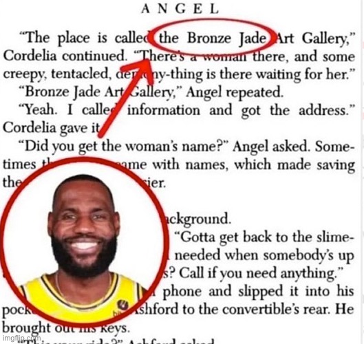The bronze jade | image tagged in lebron james | made w/ Imgflip meme maker