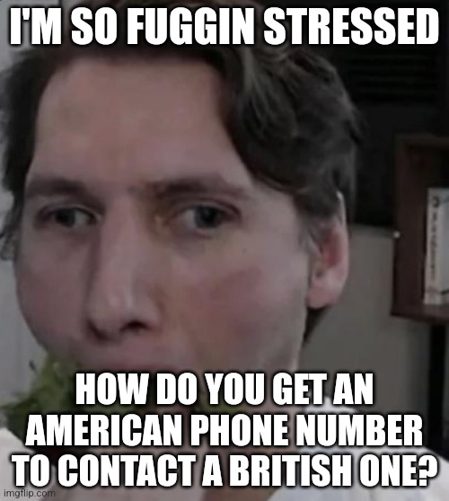 Jerma eating Lettuce | I'M SO FUGGIN STRESSED; HOW DO YOU GET AN AMERICAN PHONE NUMBER TO CONTACT A BRITISH ONE? | image tagged in jerma eating lettuce | made w/ Imgflip meme maker