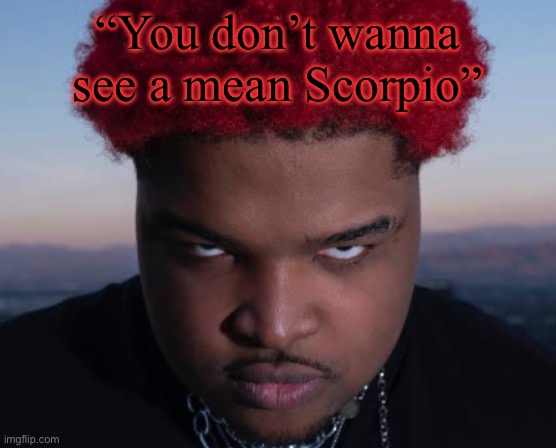 stfu blud stars arent gonna decide who you are | “You don’t wanna see a mean Scorpio” | image tagged in bro thinks he is him | made w/ Imgflip meme maker