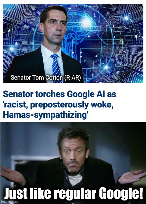 Tech companies as all-out enemies of the United States | Senator Tom Cotton (R-AR); Just like regular Google! | image tagged in shrug,google,artificial intelligence,gemini,tom cotton,woke racism | made w/ Imgflip meme maker