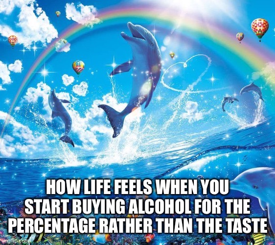 Life is good | HOW LIFE FEELS WHEN YOU START BUYING ALCOHOL FOR THE PERCENTAGE RATHER THAN THE TASTE | image tagged in how it feels to x,alcohol | made w/ Imgflip meme maker