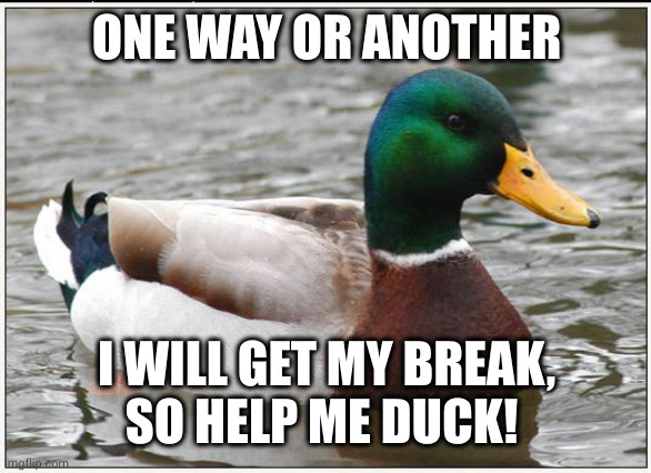 Every duck gets their day | ONE WAY OR ANOTHER; I WILL GET MY BREAK,
SO HELP ME DUCK! | image tagged in memes,actual advice mallard,it's my time,righteous,duck,destiny | made w/ Imgflip meme maker