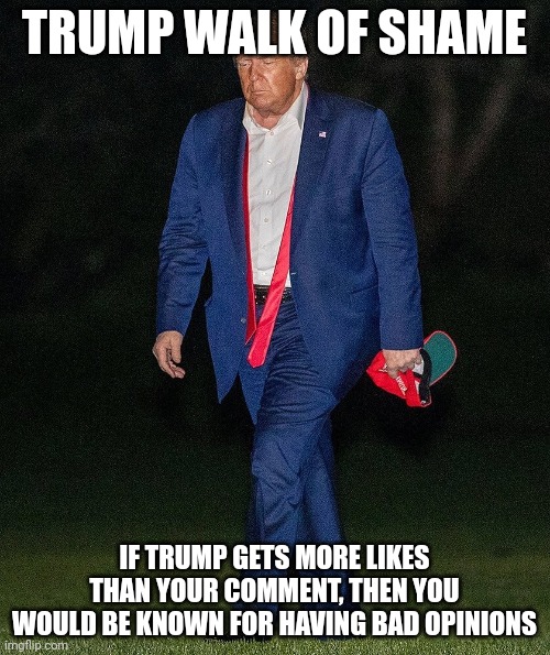 Trump walk of shame | TRUMP WALK OF SHAME IF TRUMP GETS MORE LIKES THAN YOUR COMMENT, THEN YOU WOULD BE KNOWN FOR HAVING BAD OPINIONS | image tagged in trump walk of shame | made w/ Imgflip meme maker
