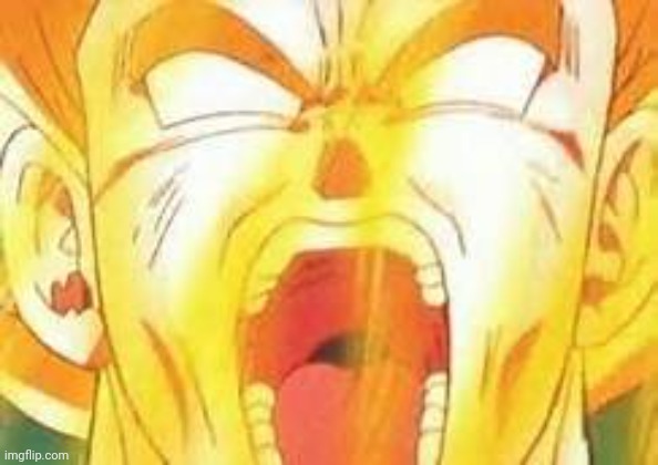 Goku's yell | image tagged in goku's yell | made w/ Imgflip meme maker