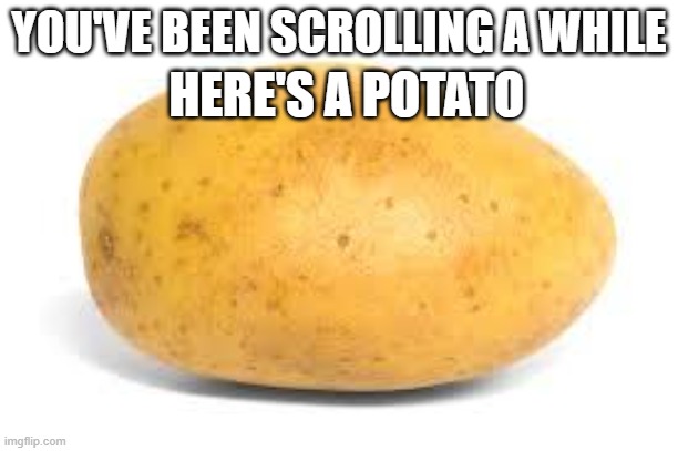You probably have been scrolling a while | YOU'VE BEEN SCROLLING A WHILE; HERE'S A POTATO | image tagged in potato | made w/ Imgflip meme maker