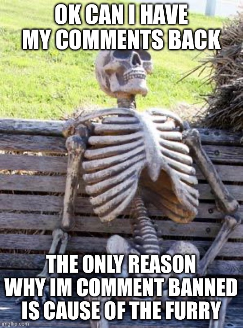 Waiting Skeleton | OK CAN I HAVE MY COMMENTS BACK; THE ONLY REASON WHY IM COMMENT BANNED IS CAUSE OF THE FURRY | image tagged in memes,waiting skeleton | made w/ Imgflip meme maker