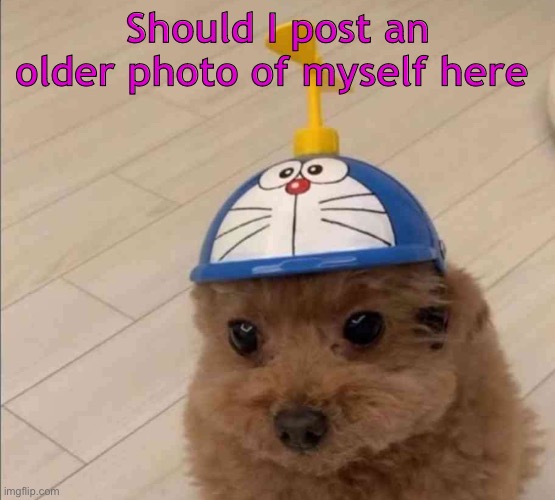 Mort | Should I post an older photo of myself here | image tagged in mort | made w/ Imgflip meme maker