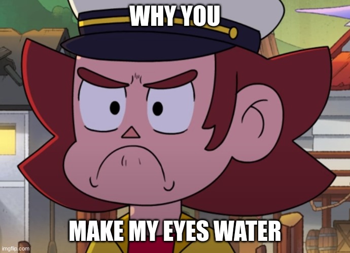 Grumpy Frown | WHY YOU MAKE MY EYES WATER | image tagged in grumpy frown | made w/ Imgflip meme maker