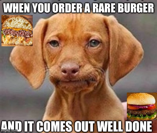 Frustrated dog | WHEN YOU ORDER A RARE BURGER; AND IT COMES OUT WELL DONE | image tagged in frustrated dog | made w/ Imgflip meme maker