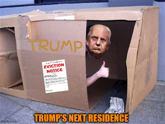Trump's next residence | TRUMP; TRUMP'S NEXT RESIDENCE | image tagged in homeless box,trump properties,taxes overdue,maga money,boxed in,trump's broke | made w/ Imgflip meme maker