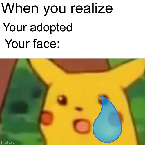 Surprised Pikachu Meme | When you realize; Your adopted; Your face: | image tagged in memes,surprised pikachu | made w/ Imgflip meme maker