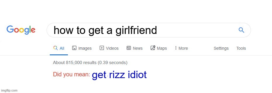 listen to the web guys | how to get a girlfriend; get rizz idiot | image tagged in did you mean | made w/ Imgflip meme maker