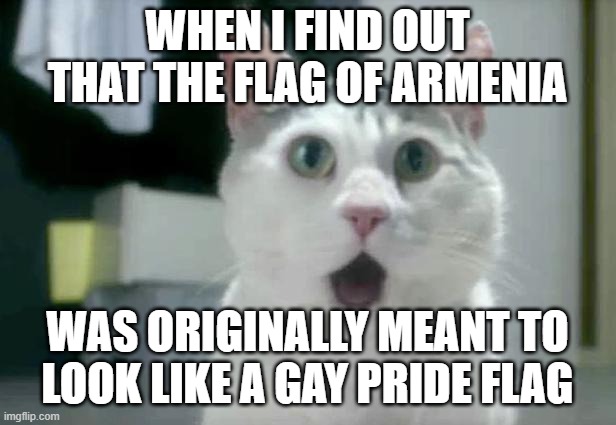 Well, you can't spell "Armenia" without "men". | WHEN I FIND OUT THAT THE FLAG OF ARMENIA; WAS ORIGINALLY MEANT TO LOOK LIKE A GAY PRIDE FLAG | image tagged in memes,omg cat,armenia,flag,flags,gay pride | made w/ Imgflip meme maker