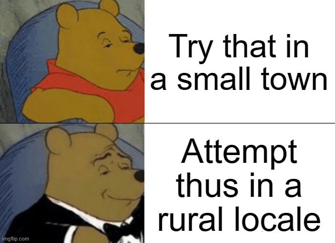 Tuxedo Winnie The Pooh Meme | Try that in a small town; Attempt thus in a rural locale | image tagged in memes,tuxedo winnie the pooh,songs,song lyrics,country music | made w/ Imgflip meme maker