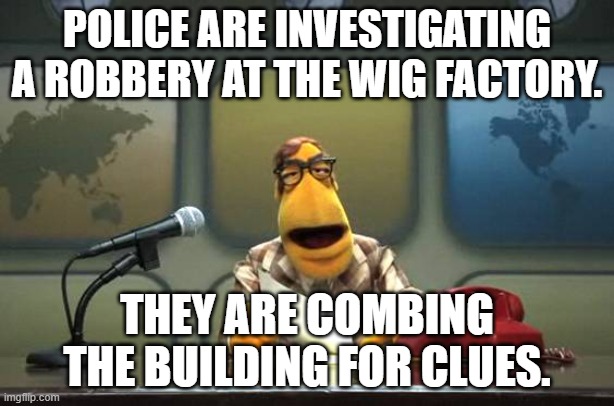Muppet News Flash | POLICE ARE INVESTIGATING A ROBBERY AT THE WIG FACTORY. THEY ARE COMBING THE BUILDING FOR CLUES. | image tagged in muppet news flash,bad jokes,bad puns | made w/ Imgflip meme maker