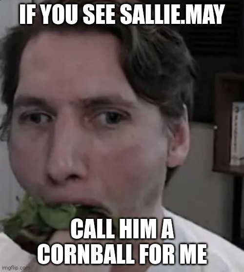 Jerma eating Lettuce | IF YOU SEE SALLIE.MAY; CALL HIM A CORNBALL FOR ME | image tagged in jerma eating lettuce | made w/ Imgflip meme maker