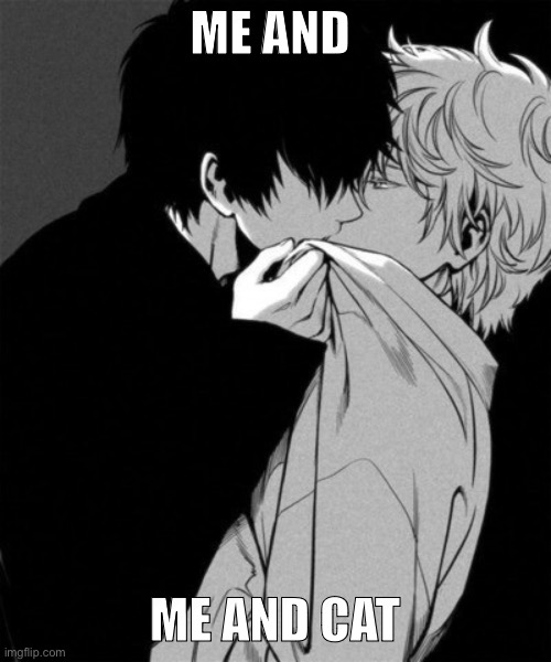 Gay anime boys kissing | ME AND ME AND CAT | image tagged in gay anime boys kissing | made w/ Imgflip meme maker