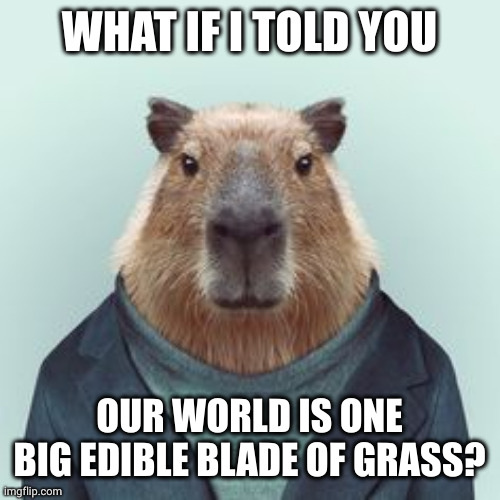 We are one with our food | WHAT IF I TOLD YOU; OUR WORLD IS ONE BIG EDIBLE BLADE OF GRASS? | image tagged in what if i told you capybara,deep thoughts,capybara,dapper,memes,touch grass | made w/ Imgflip meme maker