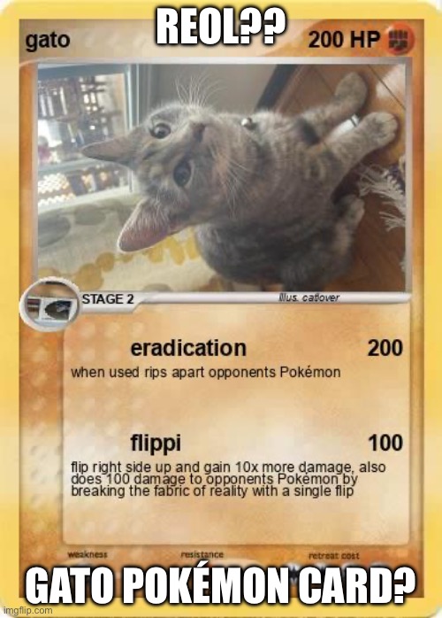 instakill cat | REOL?? GATO POKÉMON CARD? | image tagged in fake pokemon card,cats,gato | made w/ Imgflip meme maker