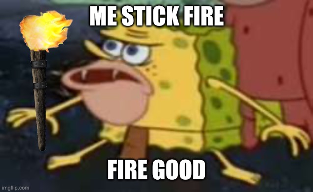 Spongegar Meme | ME STICK FIRE FIRE GOOD | image tagged in memes,spongegar | made w/ Imgflip meme maker
