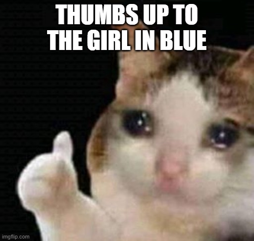 sad thumbs up cat | THUMBS UP TO THE GIRL IN BLUE | image tagged in sad thumbs up cat | made w/ Imgflip meme maker