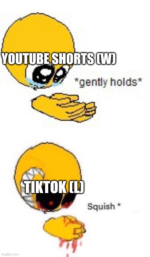 Gently holds squish | YOUTUBE SHORTS (W); TIKTOK (L) | image tagged in gently holds squish | made w/ Imgflip meme maker