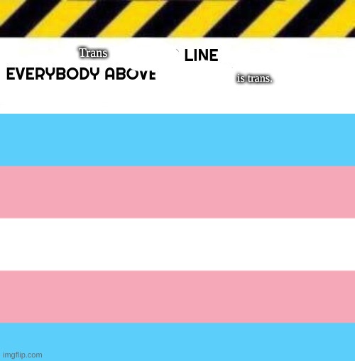 New Line also this is a not funny joke if you want to know | Trans; is trans. | image tagged in blank line start | made w/ Imgflip meme maker