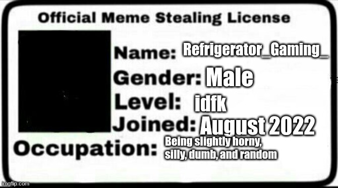Meme Stealing License | Refrigerator_Gaming_; Male; idfk; August 2022; Being slightly horny, silly, dumb, and random | image tagged in meme stealing license | made w/ Imgflip meme maker