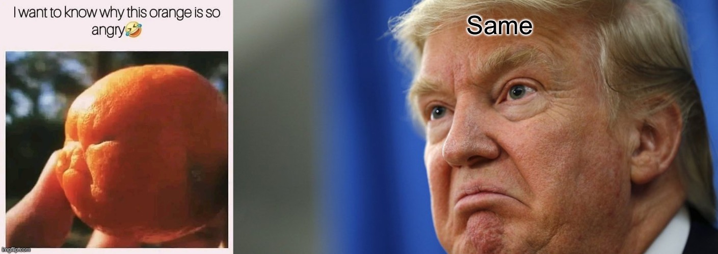 Angry orange | Same | image tagged in trump angry,angry | made w/ Imgflip meme maker