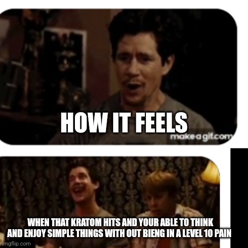 Super kratom | HOW IT FEELS; WHEN THAT KRATOM HITS AND YOUR ABLE TO THINK AND ENJOY SIMPLE THINGS WITH OUT BIENG IN A LEVEL 10 PAIN | image tagged in kratom,vape nation,indonesia | made w/ Imgflip meme maker