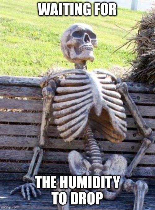 Waiting Skeleton | WAITING FOR; THE HUMIDITY TO DROP | image tagged in memes,waiting skeleton | made w/ Imgflip meme maker