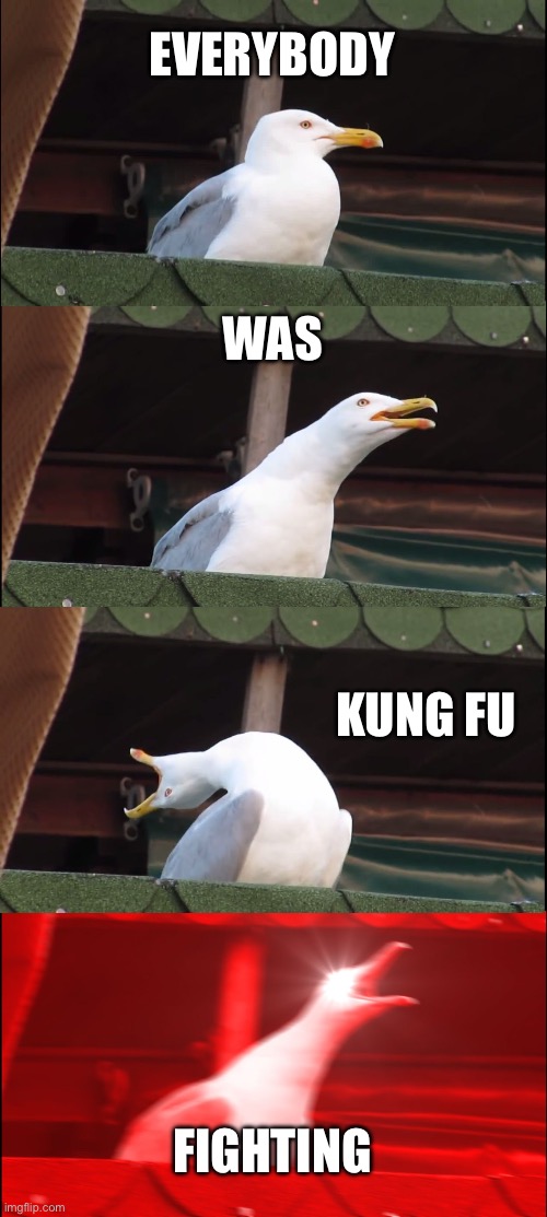 Inhaling Seagull | EVERYBODY; WAS; KUNG FU; FIGHTING | image tagged in memes,inhaling seagull | made w/ Imgflip meme maker