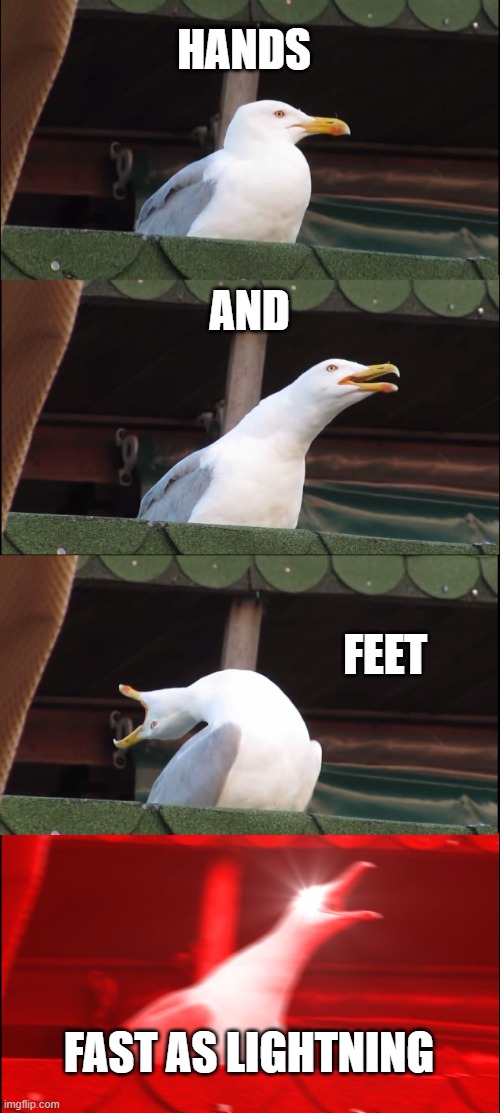 Inhaling Seagull Meme | HANDS AND FEET FAST AS LIGHTNING | image tagged in memes,inhaling seagull | made w/ Imgflip meme maker