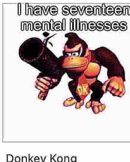 I have seventeen mental illnesses Blank Meme Template